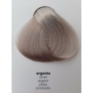RR LINE TONER ARGENTO